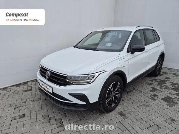 Poza principală