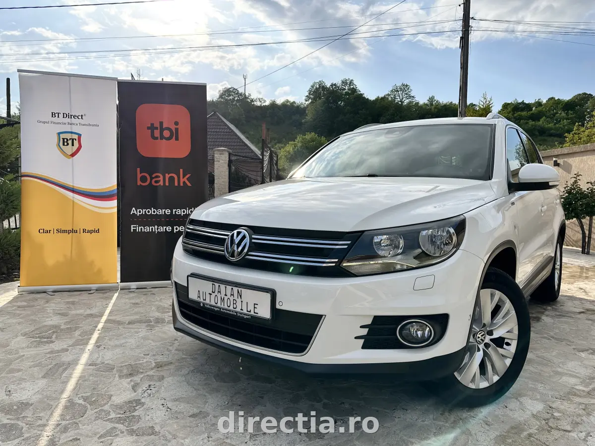Poza principală