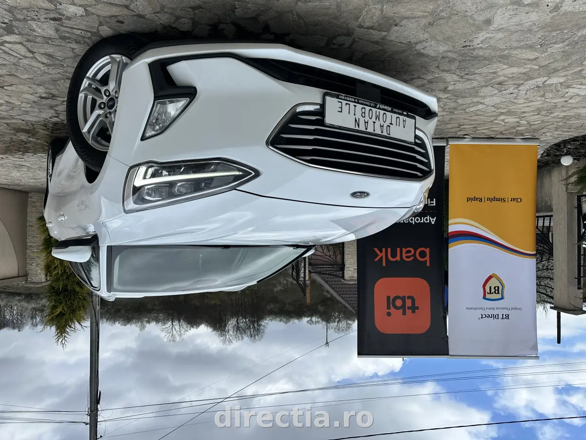 Poza principală