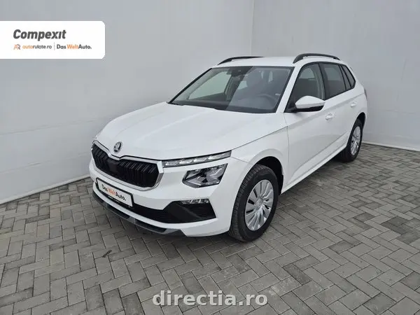 Poza principală