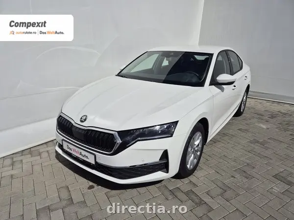 Poza principală