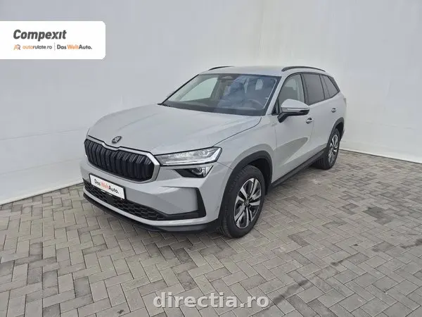 Poza principală