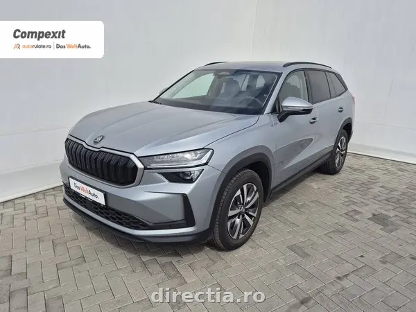 Poza principală