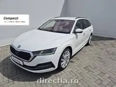 Poza principală