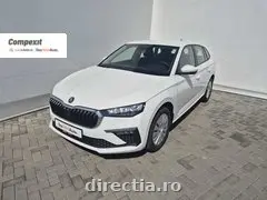 Poza principală