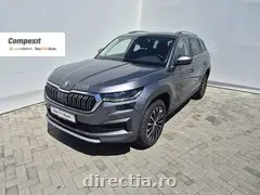 Poza principală