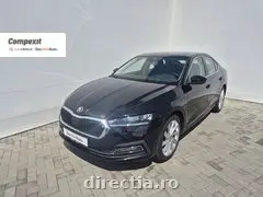 Poza principală