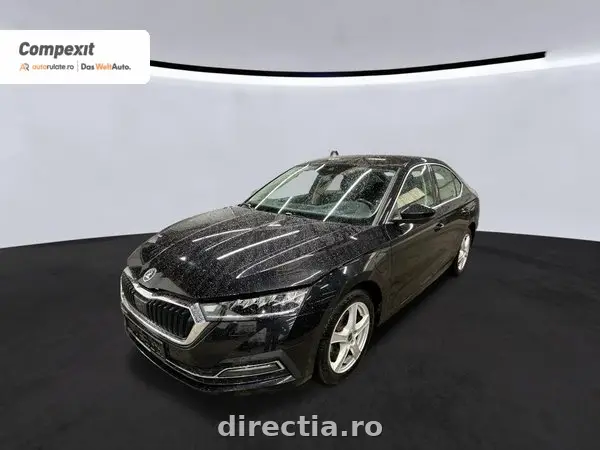 Poza anunț 1