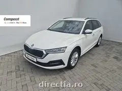Poza principală