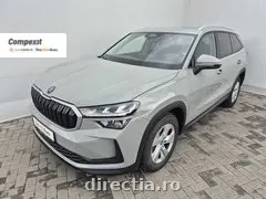 Poza principală
