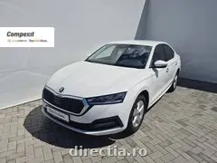 Poza principală