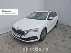 Poza principală