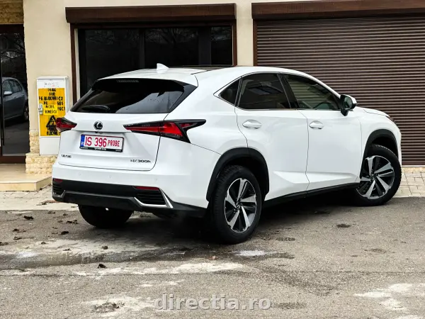 Poza anunț 8