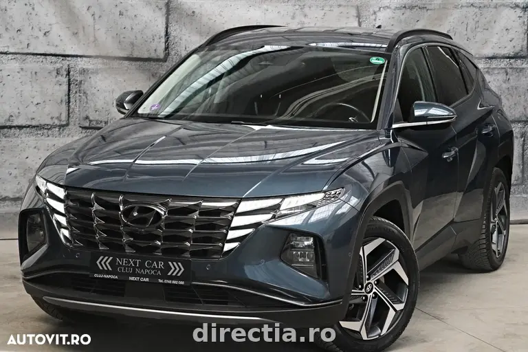 Poza principală