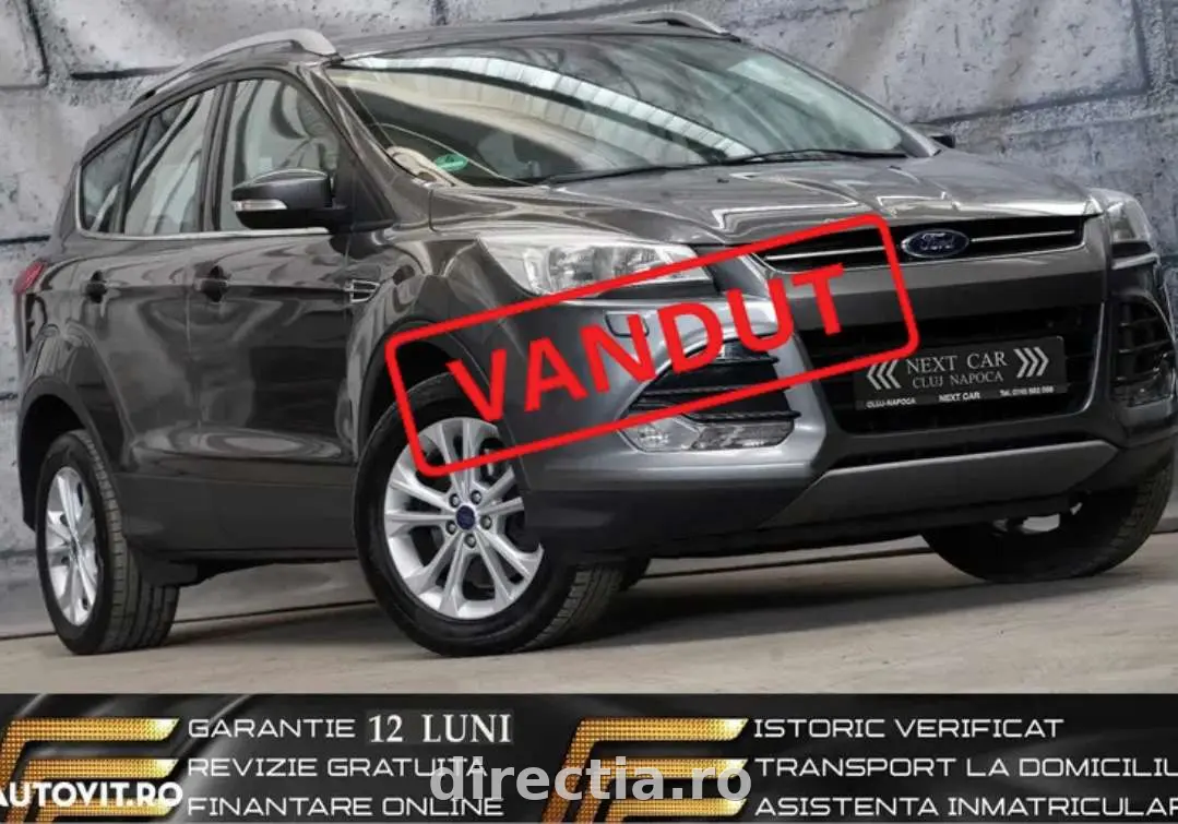 Poza principală