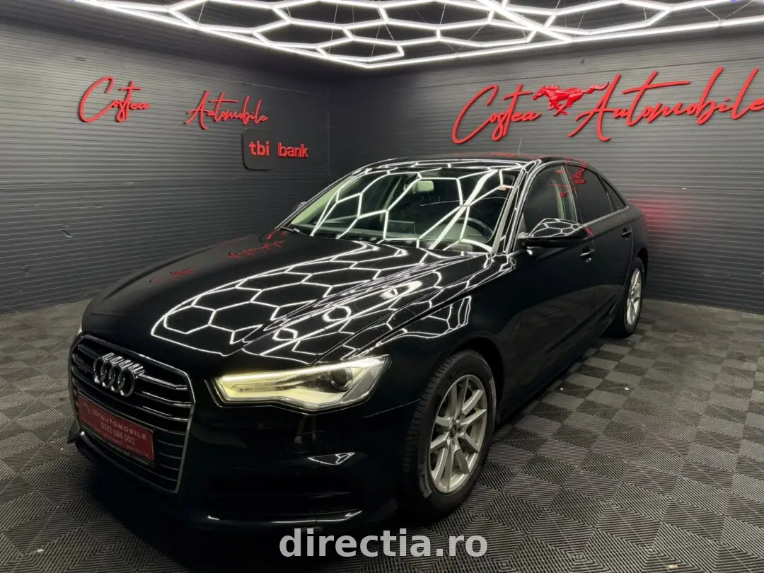 Poza principală