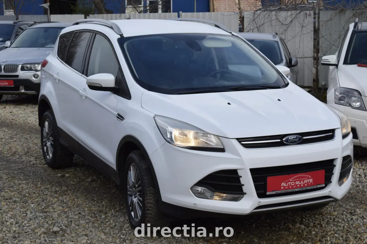 Poza principală