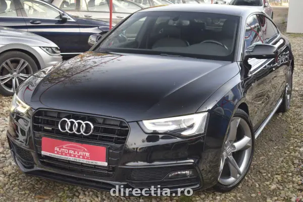 Poza anunț 1