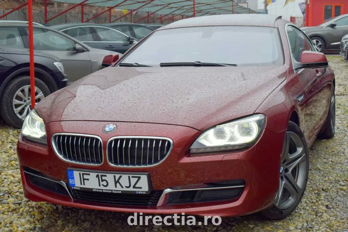 Poza principală