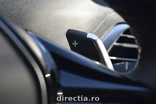 Poza anunț 18