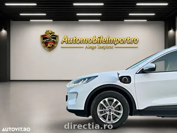 Poza anunț 21
