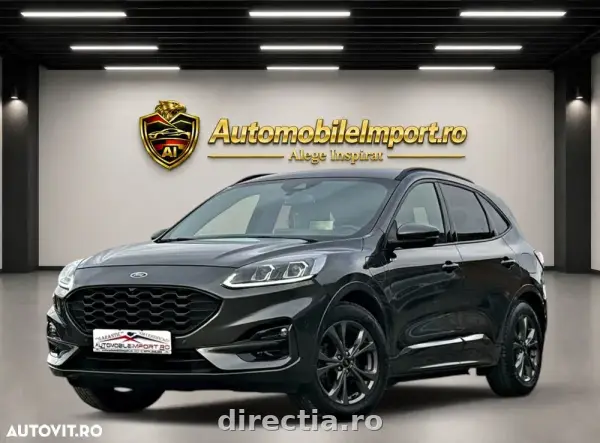 Poza anunț 1