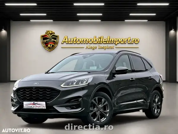 Poza anunț 1