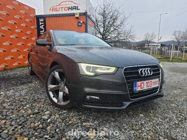 Poza anunț 1