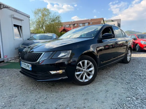 Poza anunț 1