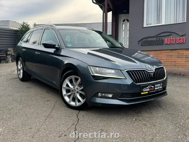 Poza principală
