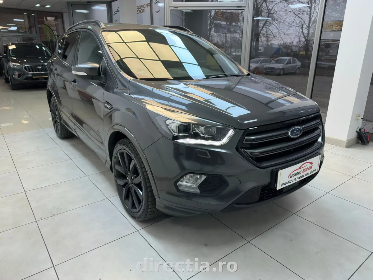 Poza principală