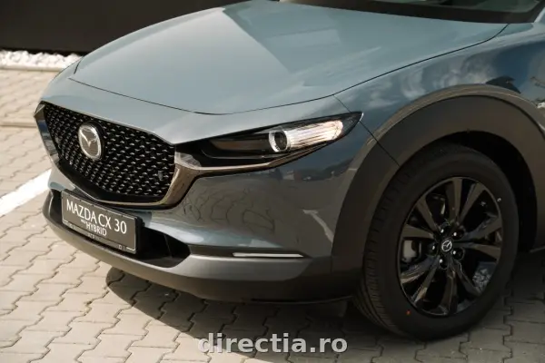 Poza anunț 9