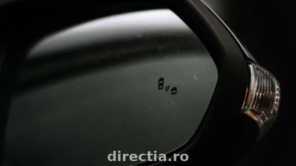 Poza anunț 21