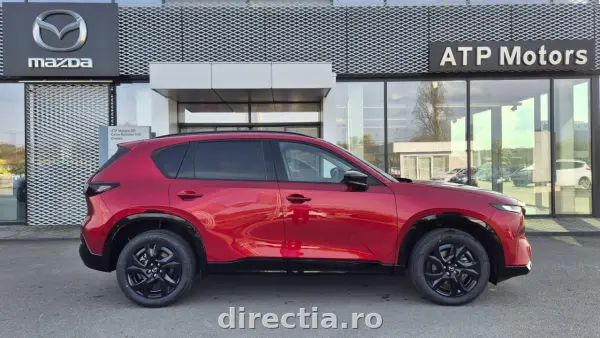 Poza anunț 8