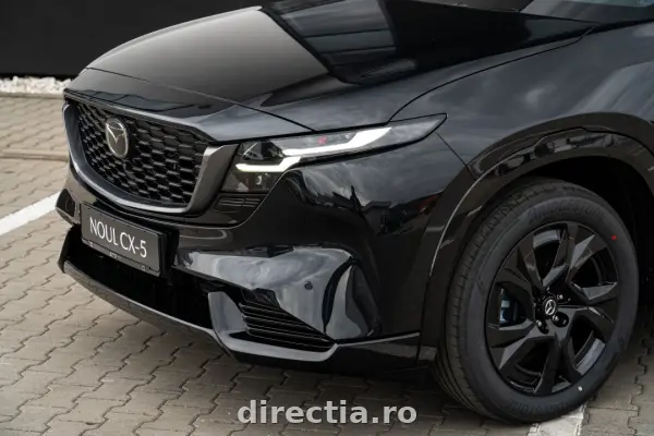 Poza anunț 8