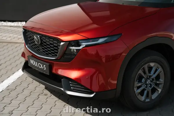 Poza anunț 9