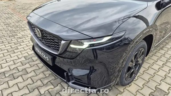 Poza anunț 9