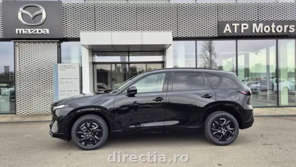 Poza anunț 7