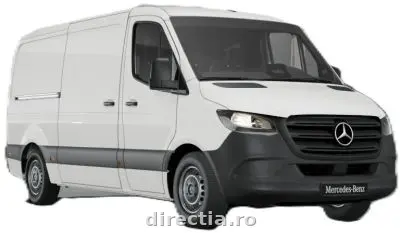 Poza principală