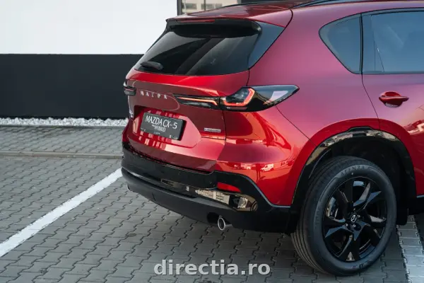 Poza anunț 10