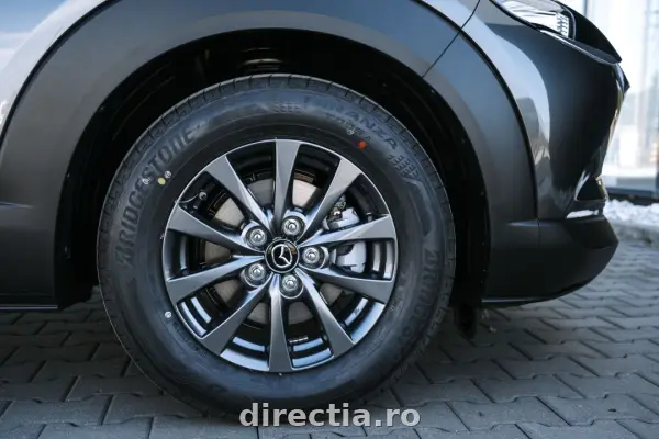 Poza anunț 9