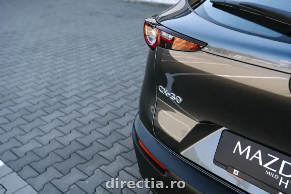 Poza anunț 7