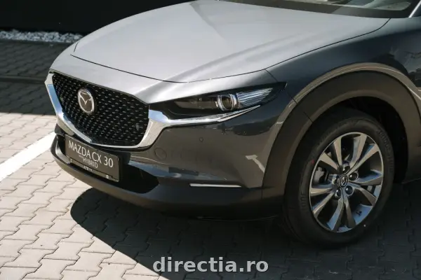 Poza anunț 4