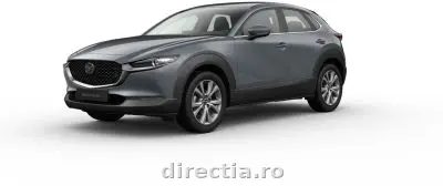 Poza anunț 1