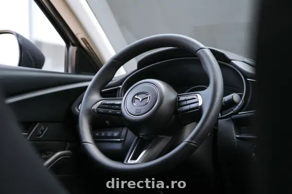 Poza anunț 19