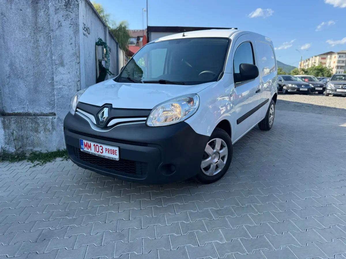 Poza principală