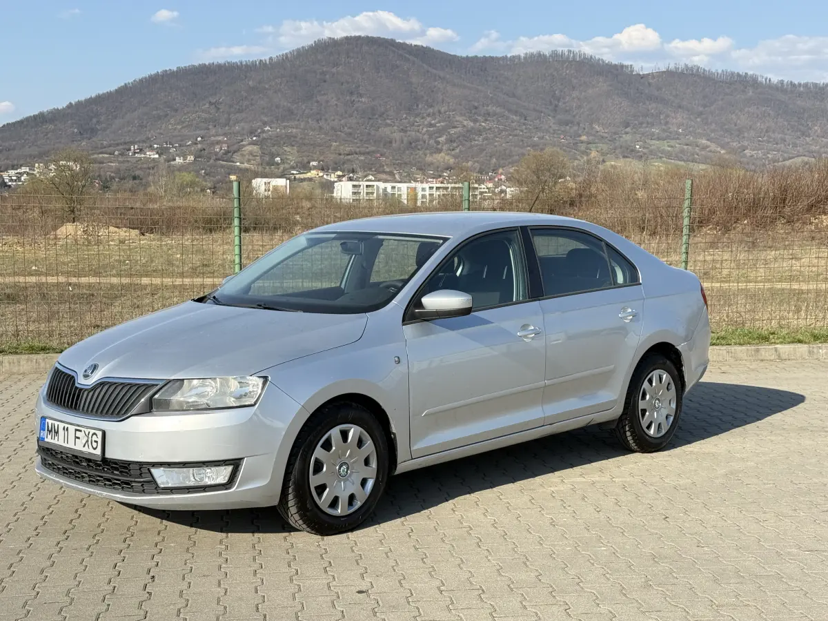 Poza principală