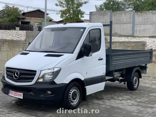 Poza anunț 1