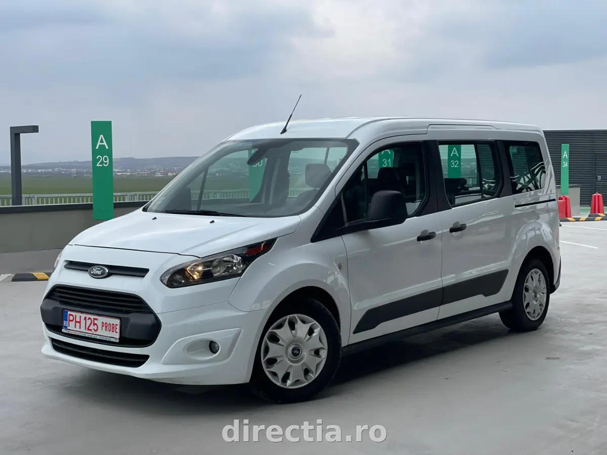 Poza principală