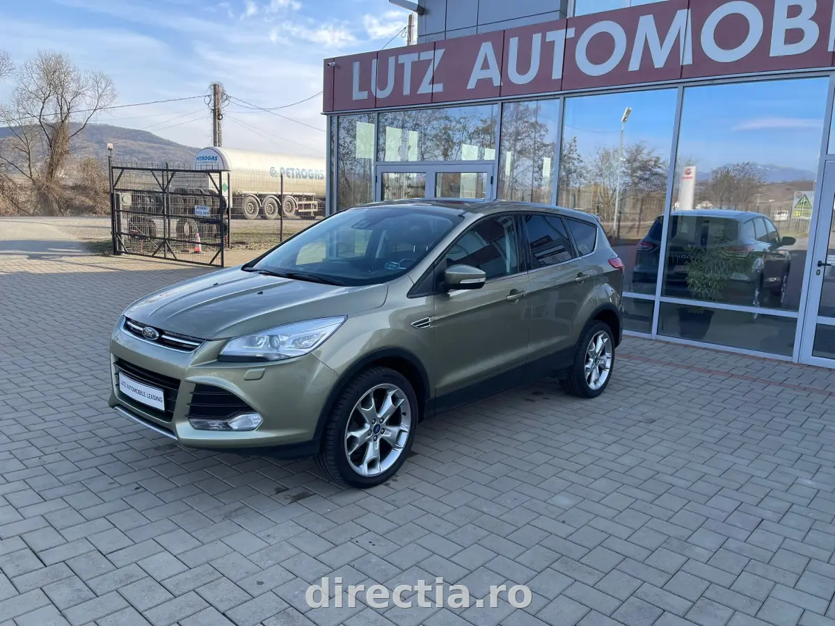 Poza principală